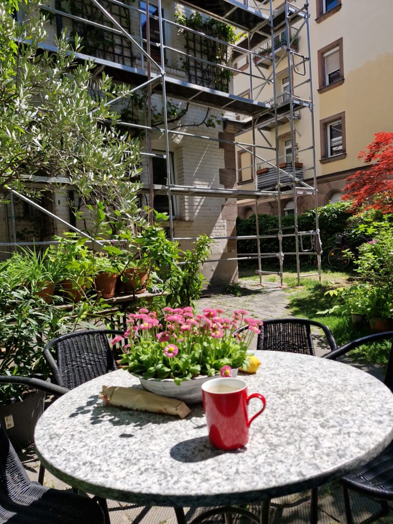 Gerüst im Hof